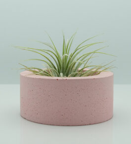 Helios Concrete Plant Holder – Soft Pink
