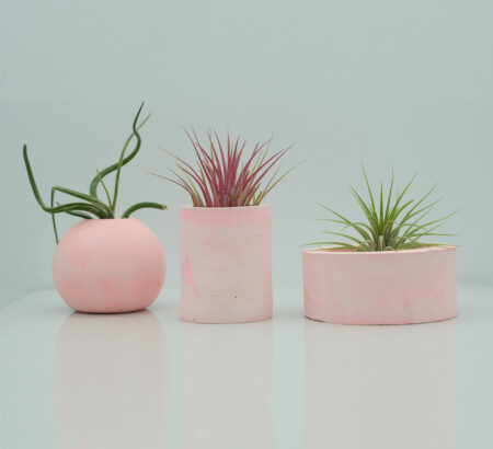 Mini Hebe Cylinder Concrete Plant Pots